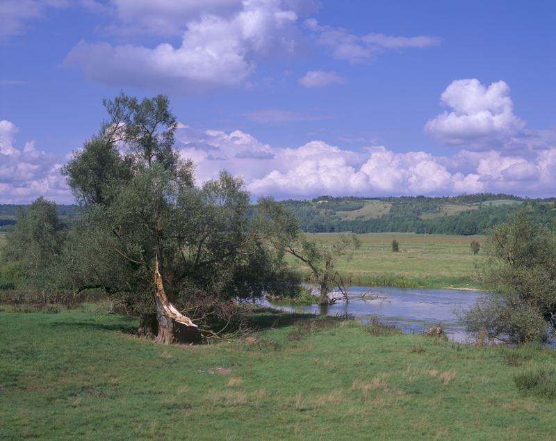 La vallée de la Meuse à Troussey