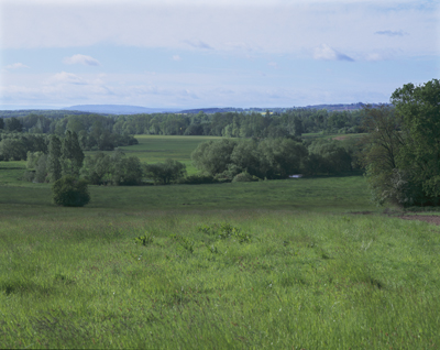 Prairies naturelles à 