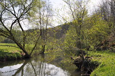 La Saône dans la Vôge