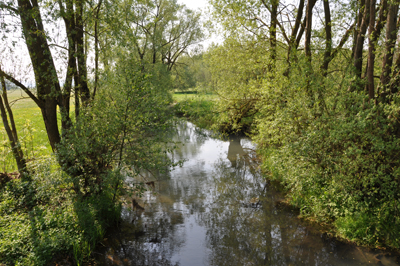 Bras de la Meuse dans le secteur de Saint-Mihiel