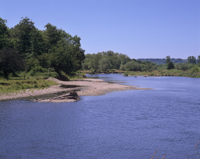 La Moselle sauvage près de Gripport