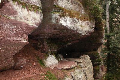 Cavité dans un piton gréseux, habitat du Trichomanes remarquable