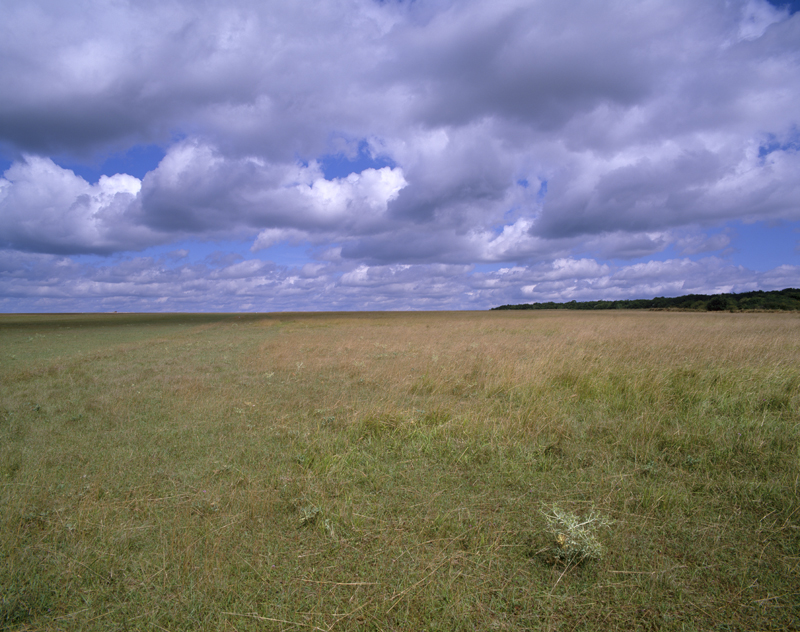 La « steppe » du plateau de Malzéville