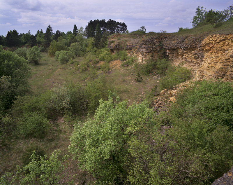 La carrière de Delme