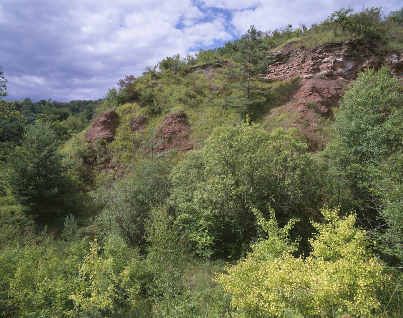 Carrière de gypse et pelouse marneuse à Klang