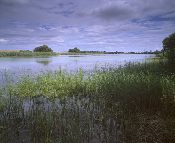 Etang de Parroy