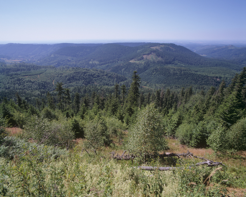 Vue sur les Vosges mosellanes depuis le Donon