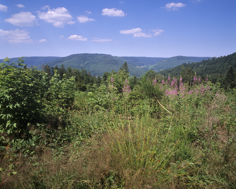 Vue sur le massif de Saint-Maurice