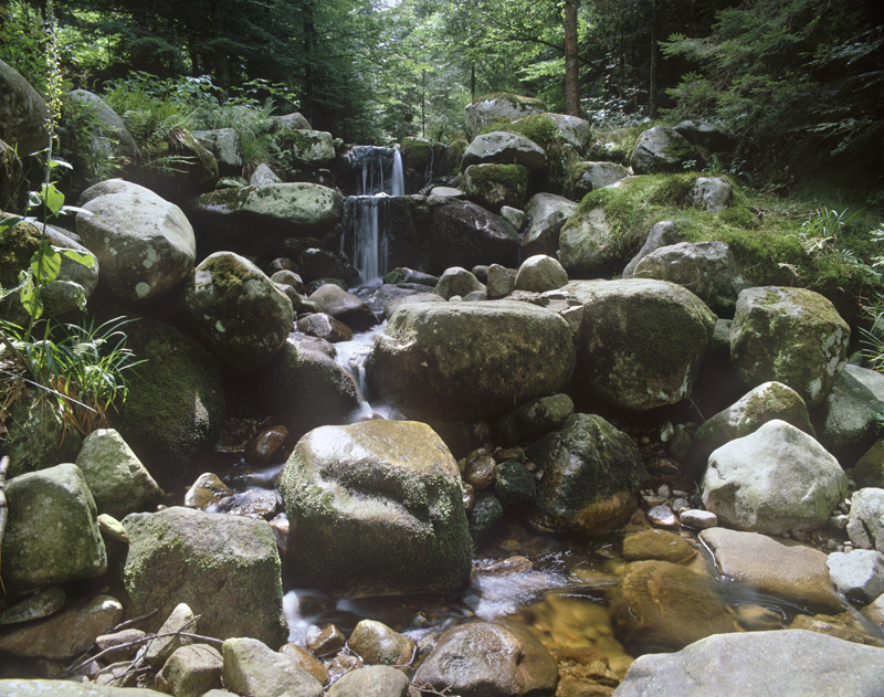 Petite cascade en forêt domaniale de Longegoutte
