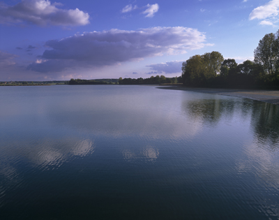 L'étang de Lindre avec ses berges arborées