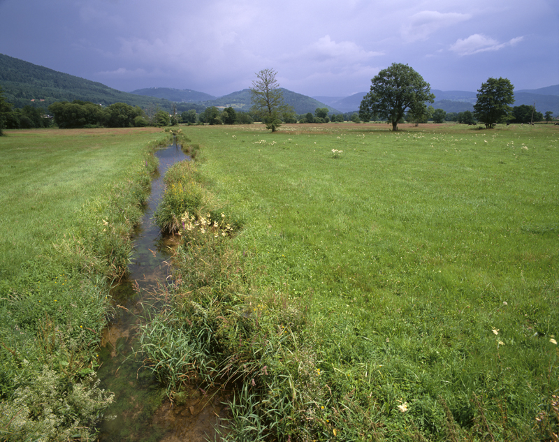 Vallée de la Moselotte à la confluence avec la Moselle