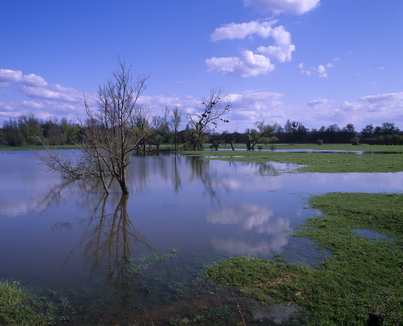 Prairies inondées dans la vallée de la Meurthe à Azerailles