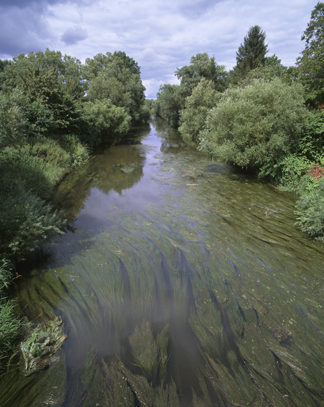 La Nied réunie en amont de Bouzonville