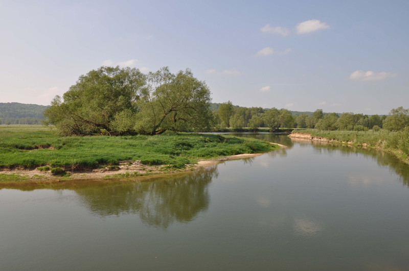 La Meuse à Mezay