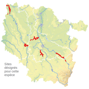 Carte de situation