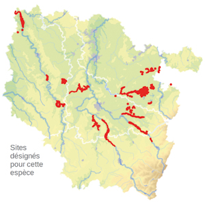 Carte de situation