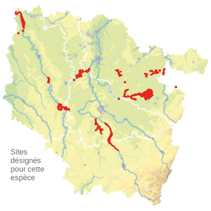 2-1149_Cartographie