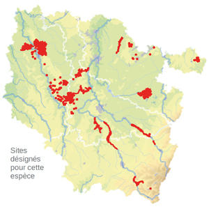 2-1166_Cartographie