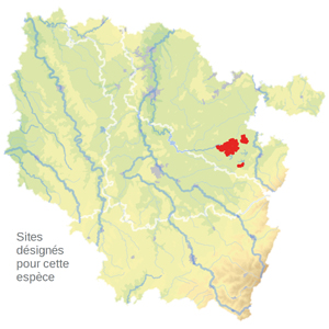 Carte de situation Carte de situation