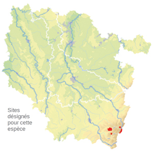 Carte de situation Carte de situation