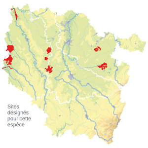 Carte de situation