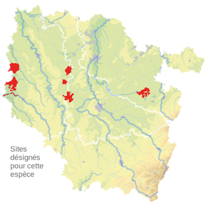 Carte de situation Carte de situation