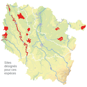 Carte de situation Carte de situation