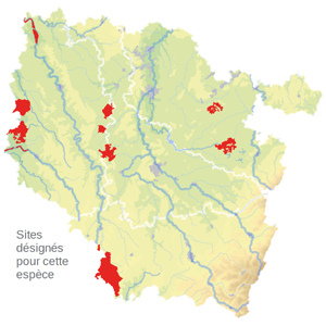 Carte de situation