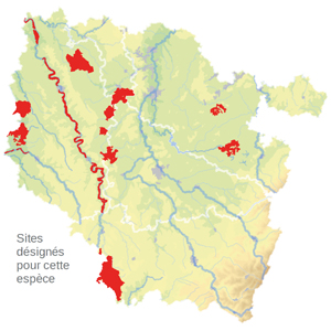 Carte de situation Carte de situation