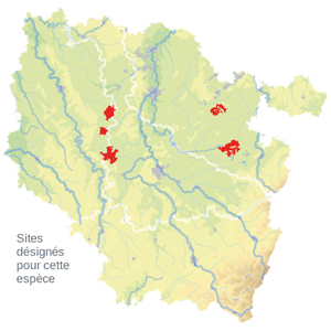 Carte de situation