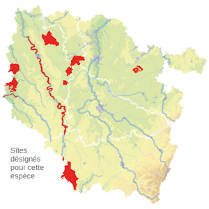 Carte de situation Carte de situation