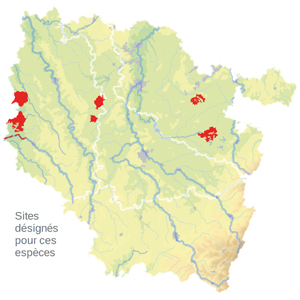 Carte de situation