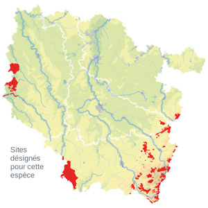 Carte de situation Carte de situation