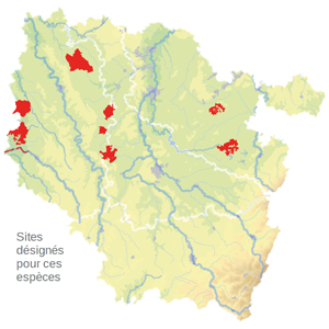 Carte de situation Carte de situation