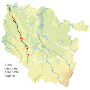 Carte de situation