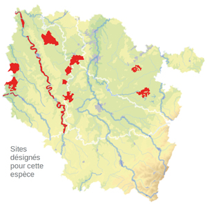 Carte de situation