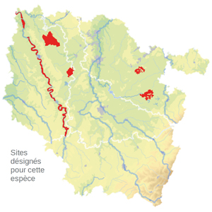 Carte de situation