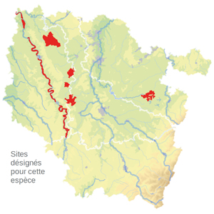 Carte de situation