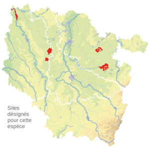 Carte de situation