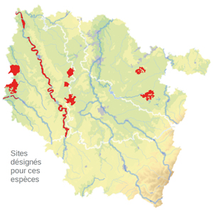 Carte de situation Carte de situation