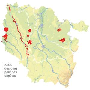 Carte de situation Carte de situation