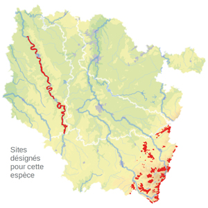 Carte de situation Carte de situation
