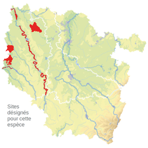 Carte de situation