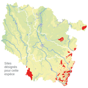 Carte de situation Carte de situation