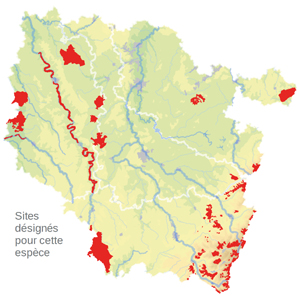 Carte de situation Carte de situation