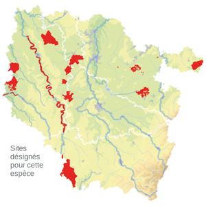 Carte de situation Carte de situation