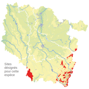 Carte de situation Carte de situation