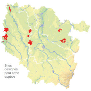 Carte de situation