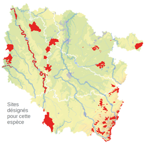 Carte de situation