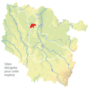 Carte de situation Carte de situation